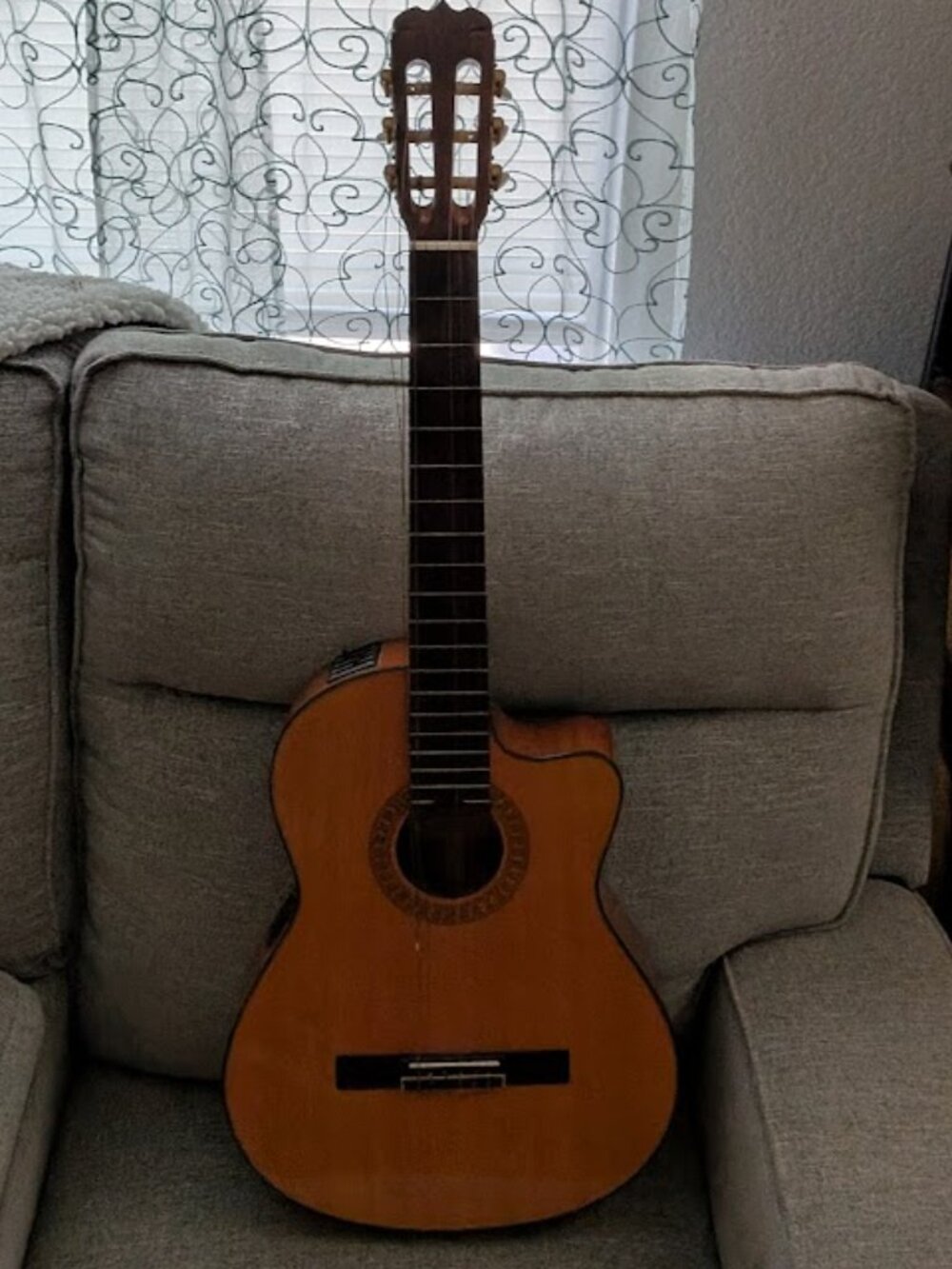 JASMINE by TAKAMINE TC38C Electric & Acoustic Guitar + Accessories (pic) & Case